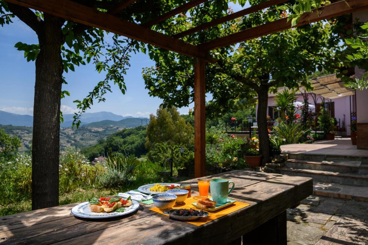 B&B Albachiara Casa Di Campagna Ольястро-Чиленто Экстерьер фото