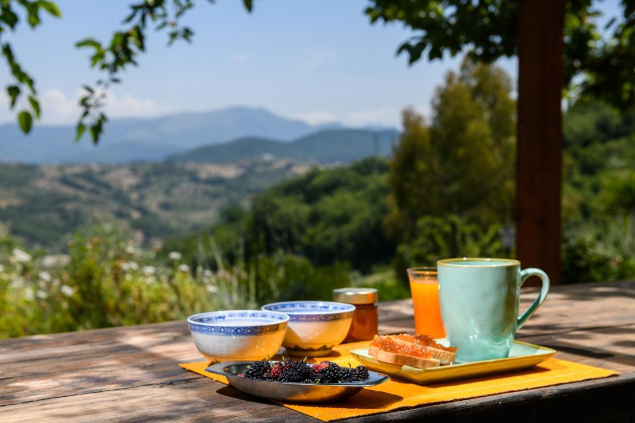 B&B Albachiara Casa Di Campagna Ольястро-Чиленто Экстерьер фото