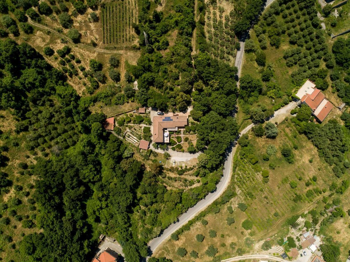 B&B Albachiara Casa Di Campagna Ольястро-Чиленто Экстерьер фото