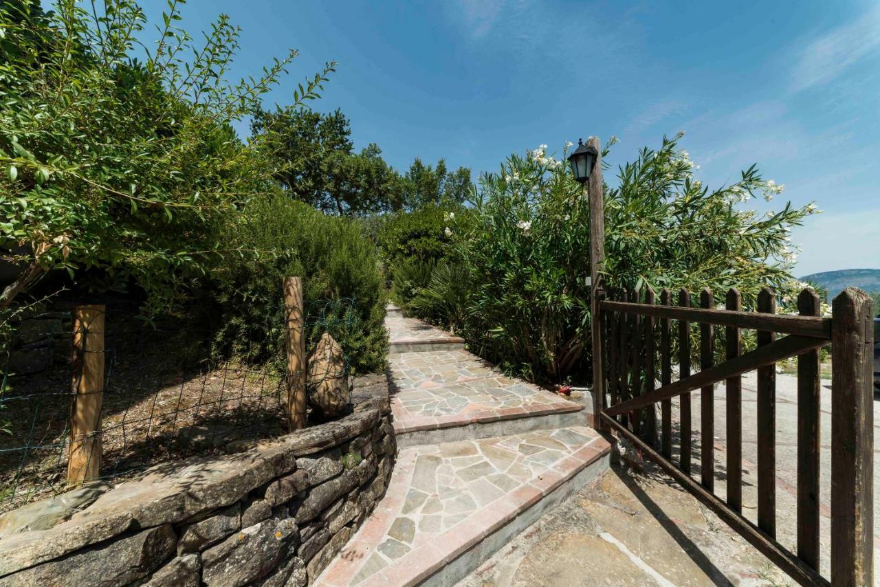 B&B Albachiara Casa Di Campagna Ольястро-Чиленто Экстерьер фото