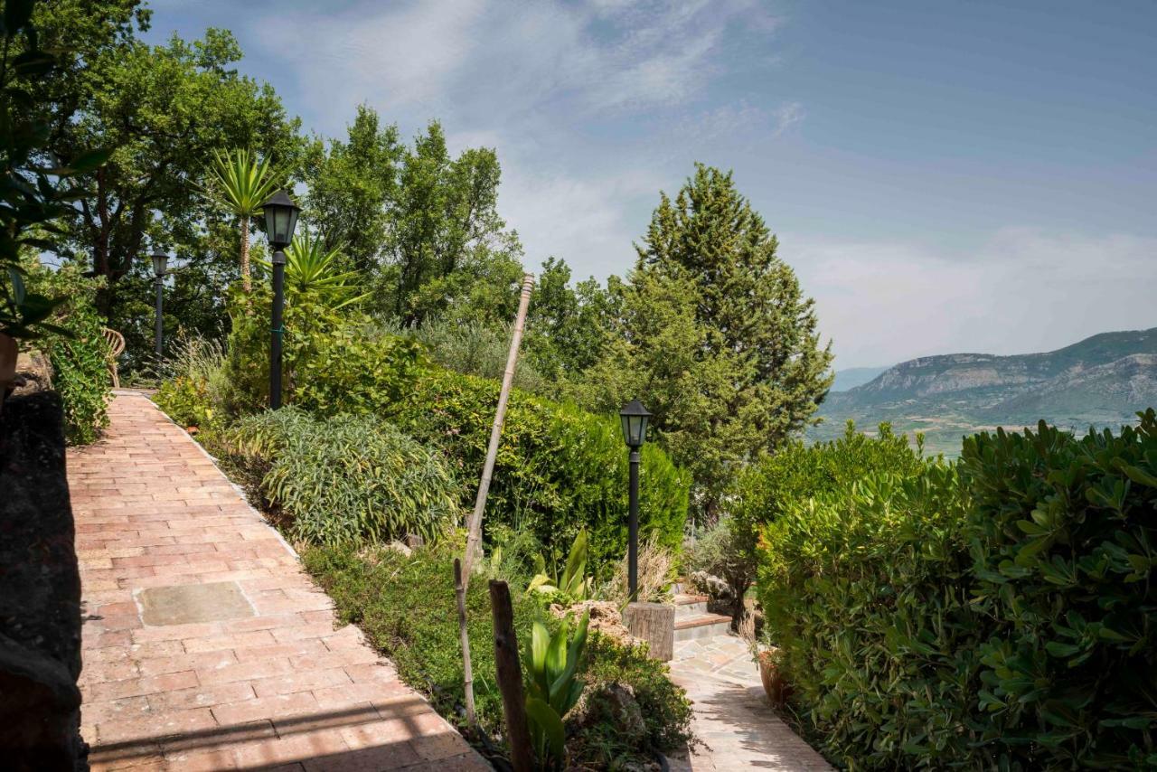 B&B Albachiara Casa Di Campagna Ольястро-Чиленто Экстерьер фото